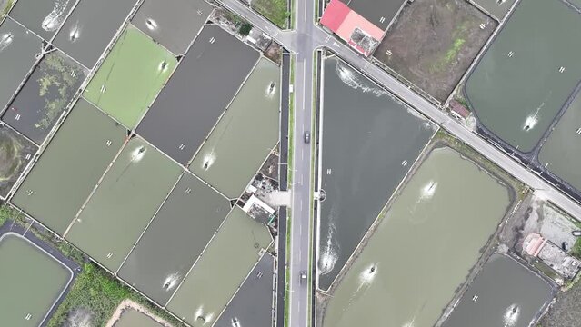 A fish pond or fishpond is a controlled pond, small artificial lake.