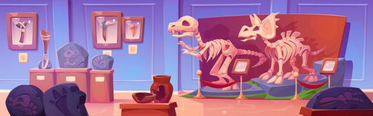 Fossil dinosaur skeleton in history museum cartoon illustration. Jurassic dino bone and rex footprint exhibit on pedestal in gallery with signboard. Triceratops and tyrannosaurus prehistoric discovery © klyaksun
