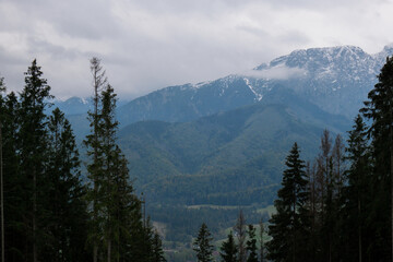 Snowy mountains, green forests In National park Zakopane Poland. Mountain nature landscape. Blue sky. Travel outdoors green tourism concept Naturecore. Hiking wellbeing 