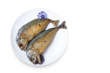 Above, Animal, Asia, Backgrounds, Calcium