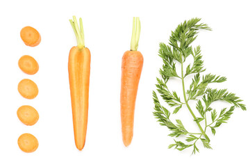 Fresh carrot and slices on white background
