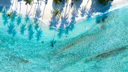 Fototapeta na wymiar Summer palm tree and Tropical beach with blue sky background