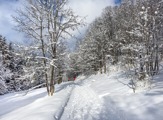 Fototapeta premium Winter landscape in French Alps.