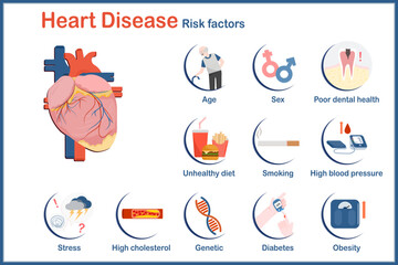 vector Illustration of risk factors with heart problems include age,sex,genetics,high blood pressure,obesity,diabetes,unhealthy diet,poor oral health,stress and high cholesterol.flat style.