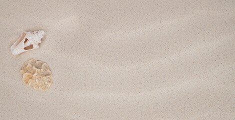 Fototapeta na wymiar Seashell on clean sand of beach. Close up, beach sand texture. Beach sand texture in summer sun. banner