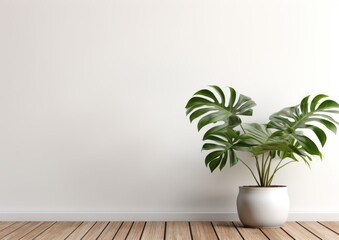 Empty wall with plant, AI generative 
