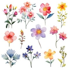 Watercolor flowers. Set Watercolor of multicolored colorful soft flowers. Flowers are isolated on a white background. Flowers pastel colors. generative ai