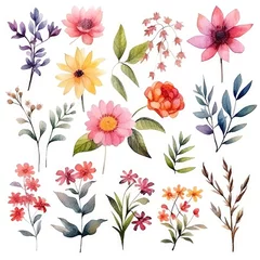 Fototapeten Watercolor flowers. Set Watercolor of multicolored colorful soft flowers. Flowers are isolated on a white background. Flowers pastel colors. generative ai © Nikolai