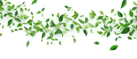 Digital Drawing and Painting of Delicate green leaves elegantly scattered among a pristine white background, evoking a sense of serenity and natural beauty. generative AI.