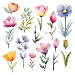 Watercolor flowers. Set Watercolor of multicolored colorful soft flowers. Flowers are isolated on a white background. Flowers pastel colors. generative ai