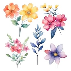 Watercolor flowers. Set Watercolor of multicolored colorful soft flowers. Flowers are isolated on a white background. Flowers pastel colors. generative ai