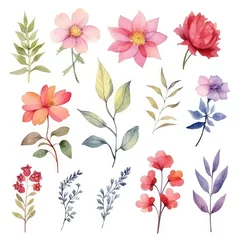 Foto op Canvas Watercolor flowers. Set Watercolor of multicolored colorful soft flowers. Flowers are isolated on a white background. Flowers pastel colors. generative ai © Nikolai