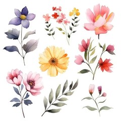 Fototapeta na wymiar Watercolor flowers. Set Watercolor of multicolored colorful soft flowers. Flowers are isolated on a white background. Flowers pastel colors. generative ai
