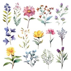 Watercolor flowers. Set Watercolor of multicolored colorful soft flowers. Flowers are isolated on a white background. Flowers pastel colors. generative ai