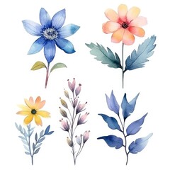 Watercolor flowers. Set Watercolor of multicolored colorful soft flowers. Flowers are isolated on a white background. Flowers pastel colors. generative ai