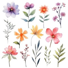 Watercolor flowers. Set Watercolor of multicolored colorful soft flowers. Flowers are isolated on a white background. Flowers pastel colors. generative ai