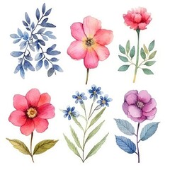 Watercolor flowers. Set Watercolor of multicolored colorful soft flowers. Flowers are isolated on a white background. Flowers pastel colors. generative ai
