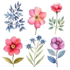 Foto op Canvas Watercolor flowers. Set Watercolor of multicolored colorful soft flowers. Flowers are isolated on a white background. Flowers pastel colors. generative ai © Nikolai