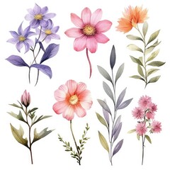 Watercolor flowers. Set Watercolor of multicolored colorful soft flowers. Flowers are isolated on a white background. Flowers pastel colors. generative ai