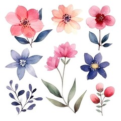 Watercolor flowers. Set Watercolor of multicolored colorful soft flowers. Flowers are isolated on a white background. Flowers pastel colors. generative ai