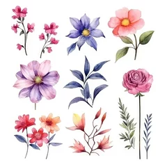  Watercolor flowers. Set Watercolor of multicolored colorful soft flowers. Flowers are isolated on a white background. Flowers pastel colors. generative ai © Nikolai