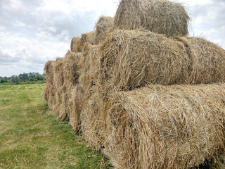Stack of hay bales in Romania