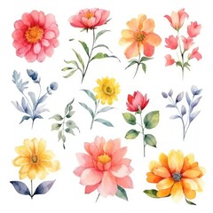 Watercolor flowers. Set Watercolor of multicolored colorful soft flowers. Flowers are isolated on a white background. Flowers pastel colors. 