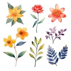 Watercolor flowers. Set Watercolor of multicolored colorful soft flowers. Flowers are isolated on a white background. Flowers pastel colors. 