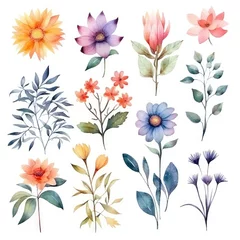  Watercolor flowers. Set Watercolor of multicolored colorful soft flowers. Flowers are isolated on a white background. Flowers pastel colors. © Nikolai