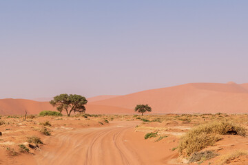 Impression of the massive sanddunes that comprise the Sossusvlei of western Namibia