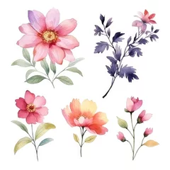 Fotobehang Watercolor flowers. Set Watercolor of multicolored colorful soft flowers. Flowers are isolated on a white background. Flowers pastel colors. © Nikolai