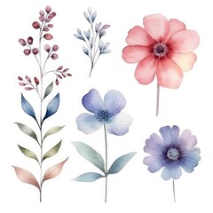 Watercolor flowers. Set Watercolor of multicolored colorful soft flowers. Flowers are isolated on a white background. Flowers pastel colors.