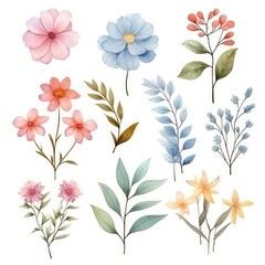 Fototapeta na wymiar Watercolor flowers. Set Watercolor of multicolored colorful soft flowers. Flowers are isolated on a white background. Flowers pastel colors.