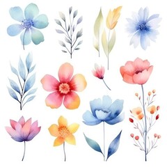 Watercolor flowers. Set Watercolor of multicolored colorful soft flowers. Flowers are isolated on a white background. Flowers pastel colors.