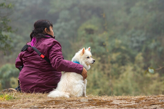 a female model sitting with a dog wearing purple jacket enjoying nature. Selective focus. Concept of friendship between human and animal.