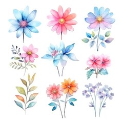 Watercolor flowers. Set Watercolor of multicolored colorful soft flowers. Flowers are isolated on a white background. Flowers pastel colors