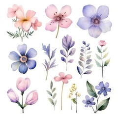 Watercolor flowers. Set Watercolor of multicolored colorful soft flowers. Flowers are isolated on a white background. Flowers pastel colors