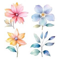 Obraz na płótnie Canvas Watercolor flowers. Set Watercolor of multicolored colorful soft flowers. Flowers are isolated on a white background. Flowers pastel colors