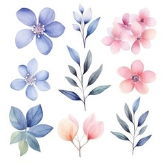 Watercolor flowers. Set Watercolor of multicolored colorful soft flowers. Flowers are isolated on a white background. Flowers pastel colors