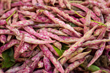 Dragon's Tongue green beans at Farmer's Market