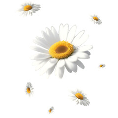 Fototapeta premium The perfect embodiment of elegance and grace, a daisy that evokes emotions of passion, love, and desire with its vibrant hues and soft, silky petals.
