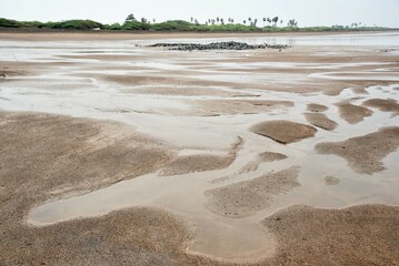 Black sand pattern, Ubhrat beach, Navsari, Gujarat, India, Asia