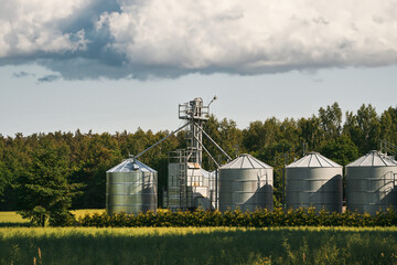 Fototapeta na wymiar Steel grain silos stand next to a field. Agro-Industrial landscape. Steel Silos Embrace Vast Fields, Serving as Epitomes of Agricultural Storage and Processing
