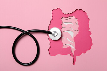 Concept of health care and internal organs - intestines
