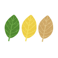 Drawing of a variety of colored leaves isolated on transparent background for nature decoration and springtime concept