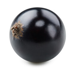 Black currant isolated