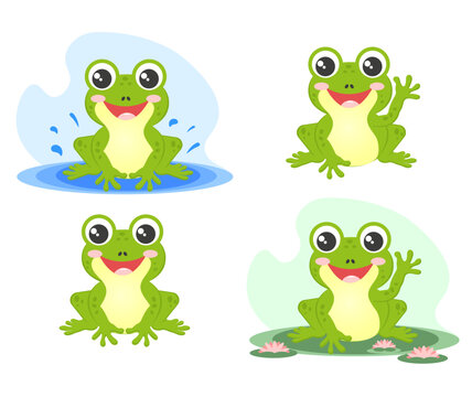 The frog. A set of 4 frogs. On a lily pad, in a puddle, waving his paw. Vector illustration