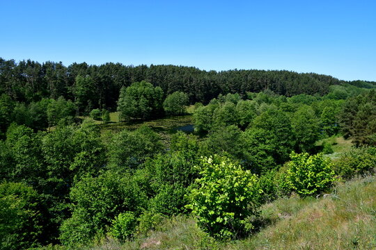 A view from the top of a vast hill showing a slope covered with grass, lush trees, shrubs, and other flora, with a small pond and a swimming spot visible below them all seen in summer 