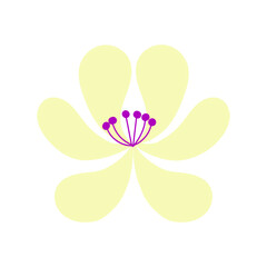 Doodle yellow flower icon with lilac center isolated on transparent and white background. Summer element children's drawing for design decoration. Vector illustration in cartoon flat style closeup.