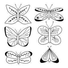 Fototapeta na wymiar Set of butterflies in doodle style. Vector illustration isolated on white background. Collection of cute linear butterflies.